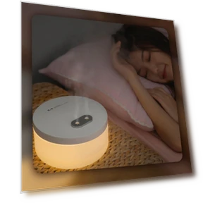 Cold Mist Humidifier with Night Light — Air Moisturizers, mianduijifengba
