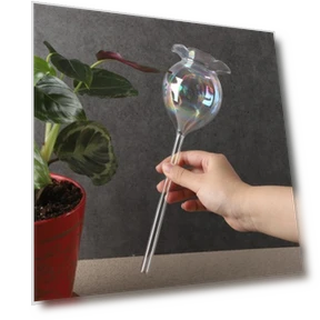 Glass Flower Watering Bulbs — Tree Care, moxia