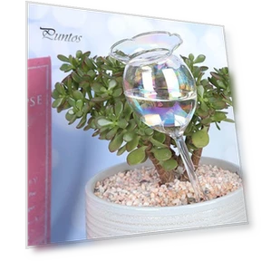 Glass Plant Waterer — Automatic Irrigation, Beautiful Garden