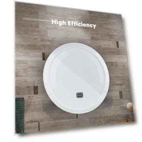Robot Vacuum with Powerful Suction — Smart Cleaning Robots, TaoPo Directs