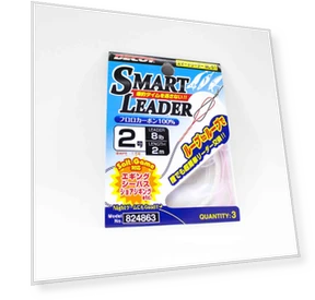 Smart Leader Fluorocarbon Fishing Line — Braided, Decoy