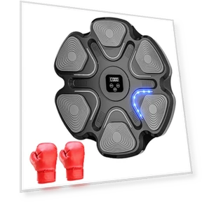 Smart Musical Boxing Trainer with Gloves — Boxing Training Gear, TOMTOP JMS