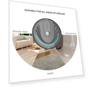 Smart Sweeping Robot — Smart Cleaning Robots, TaoPo Directs
