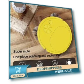 Smart Vacuum Cleaner — Smart Cleaning Robots, The Sole Spot