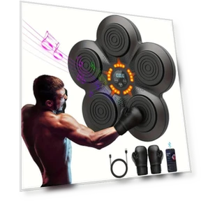 Smart Wireless Music Boxing Trainer — Boxing Training Gear, The best future