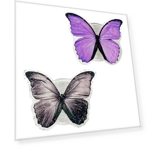 Smart Talking Butterfly Set — Interactive Animal Companions, Board M Factory