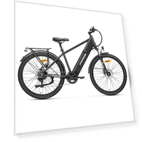 Step-over Electric Bike — E-Bikes, Foride