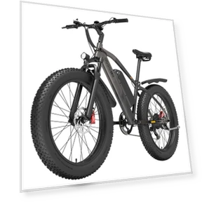 Electric Bike — E-Bikes, GOGOBEST
