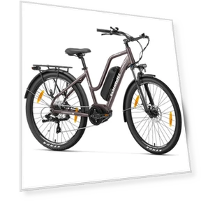 Electric Bike — Electric Self-Balancing Scooters, Touroll