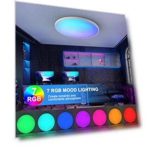 Smart Ceiling Light with Remote Control — Overhead Lighting, HENTAG