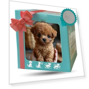 Upgraded Robot Dog — Interactive Animal Companions, EJV
