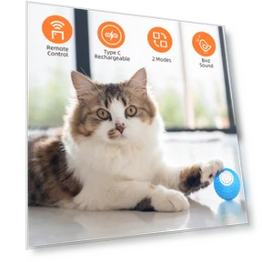 Intelligent pet cat toy ball — Cat Playthings
