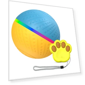 Intelligent pet dog toy ball — Balls