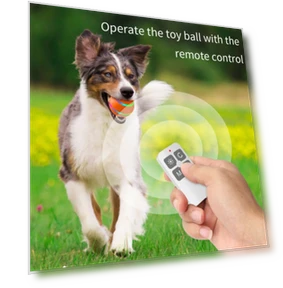 Intelligent pet toy ball — Interactive Animal Companions