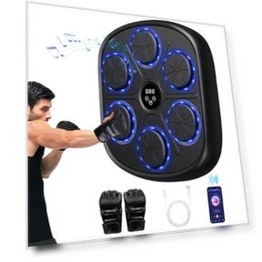 Smart Bluetooth Music Punching Machine — Boxing Training Gear, PetPong