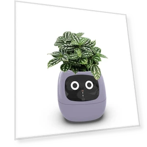 Smart Pot Ivy — Garden Planters, Tuya