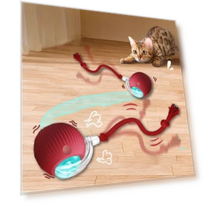 Interactive Cat Toy Ball — Cat Playthings, JUN JUN