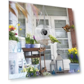 Smart Bird Feeder with Camera — Outdoor & Wildlife Cameras, YiGeiWoLiGiaoGiao