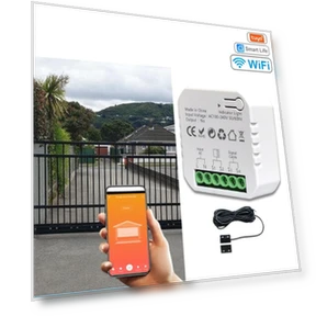 Intelligent Family Door Controller — Biometric Security, Home Renovation