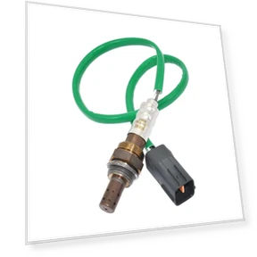 Oxygen sensor — Check Engine, Tesla Car parts