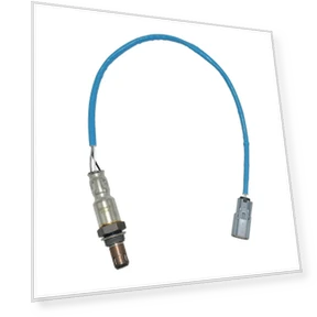 Oxygen sensor — Check Engine, Tesla Car parts