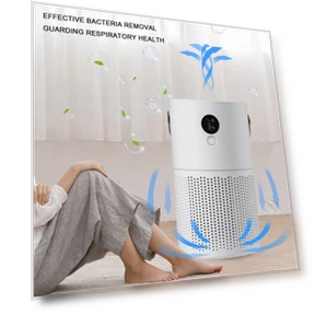 Automatic Air Freshener — Car Air Fresheners, Flowers living
