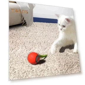 Interactive Rolling Toy for Cats — Cat Playthings, Vogue Wardrobe