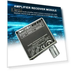 Lossless Audio Digital Power Amplifier Module — Portable Audio, Enjoy Smart Home