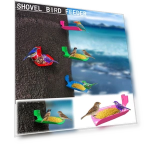 Smart Bird Feeder — Backyard Birding, Vegetables