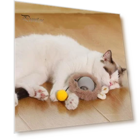 Interactive Cat Toy Ball — Cat Playthings, Pet park