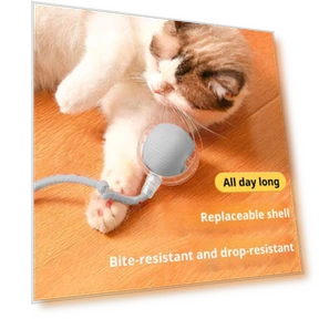 Interactive Cat Toy Ball — Cat Playthings, Love Pet House