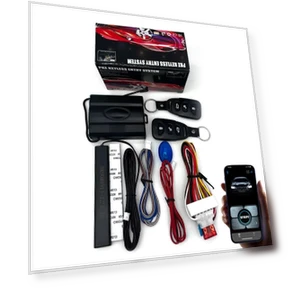 Smart Induction Keyless Entry Module — Keyless Entry, EFHIPS