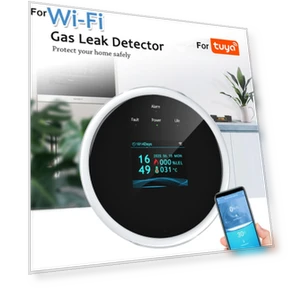Smart WiFi LCD Gas Leak Detector — Gas Safety Equipment, Salted Chicken