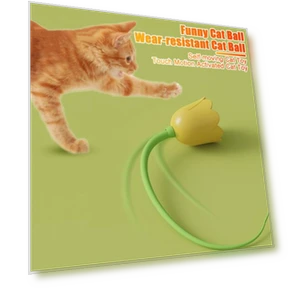 Interactive Cat Ball in Flower Shape — Cat Playthings, anruifu