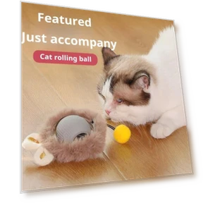 Interactive Cat Toy Ball — Cat Playthings, anruifu