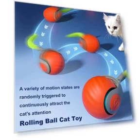 Interactive Cat Toy Rolling Ball — Cat Playthings, anruifu
