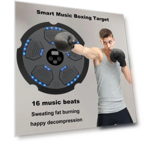 Bluetooth Smart LED Boxing Trainer — Boxing Training Gear, MUQZI