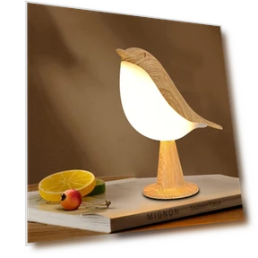 Rechargeable LED Desk Lamp with Aromatherapy — Study & Desk Lighting, YC Direct