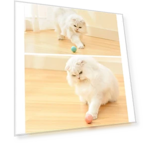 Smart Gravity Teaser Cat Rolling Ball - Teeth Resistant Cat Toy — Cat Playthings