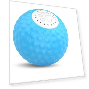 Smart Ball for Dogs — Balls, Refreshing Home