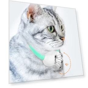 Smart teasing collar for cats — Cat Playthings, Yuki
