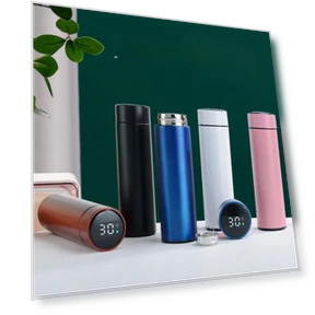 Vacuum Insulated Temperature Display Thermos — Travel Drinkware, Binchi Fitness