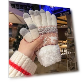 Winter Gloves with Touchscreen Capability — Arm Warmers, WTEMPO