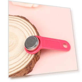 Plastic Rewritable RFID Touch Memory Key — Key Holders & Accessories, Supply Made