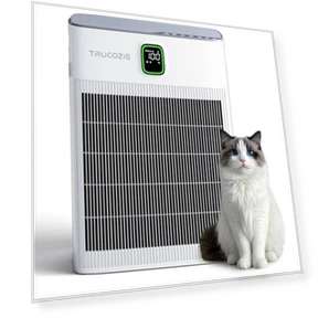 Air Purifier for Home — Activated Carbon Air Purifiers, Trucozie Home