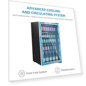 Compact Beverage Refrigerator — Mini Fridges, Erivess