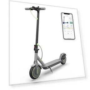 Electric Scooter — Electric Self-Balancing Scooters, Roinside
