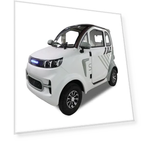 Enclosed Mobility Scooter — Electric Self-Balancing Scooters, Dayhome