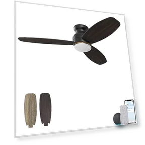 Smart Flush Mount Ceiling Fan with Lights — Ceiling Fan Wall Controls, CEME