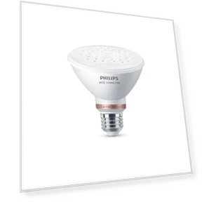 Smart Wi-Fi LED Color Changing Light Bulb — LED, Philips